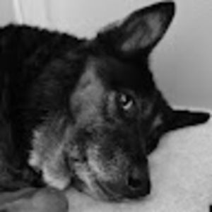 Meet your Posher, Cori